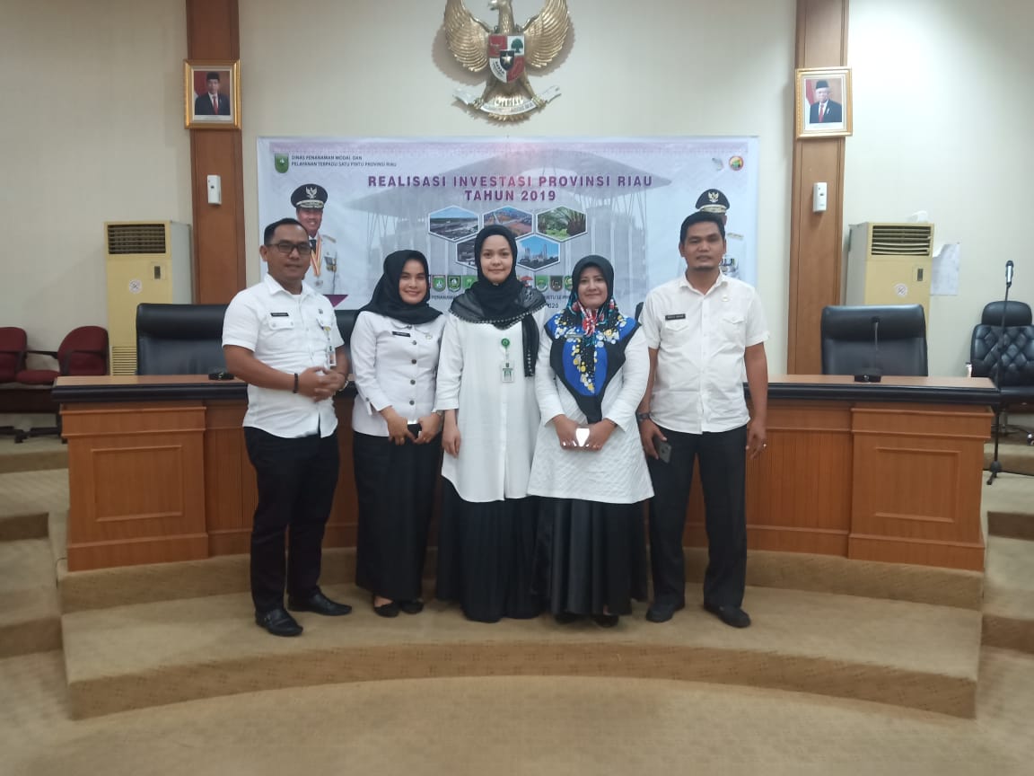 Realisasi Investasi Provinsi Riau Tahun 2019